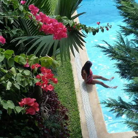 Casa Do Papagaio Funchal (Madeira)