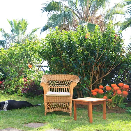 Casa Do Papagaio 丰沙尔