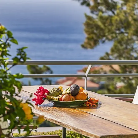 招待所 Casa Do Papagaio