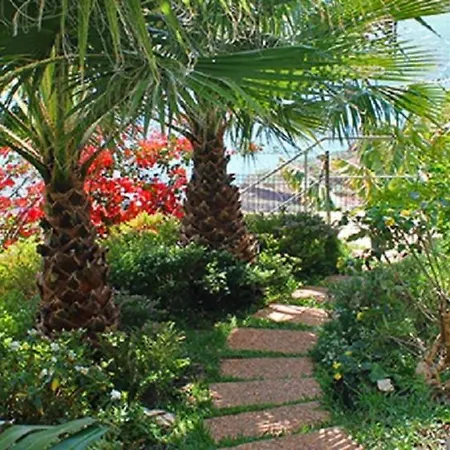 Casa Do Papagaio 4* Funchal (Madeira)