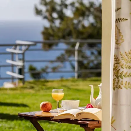 Gasthof Casa Do Papagaio Funchal (Madeira)
