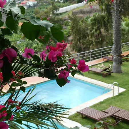 Casa Do Papagaio Maison d'hôtes Funchal (Madeira)