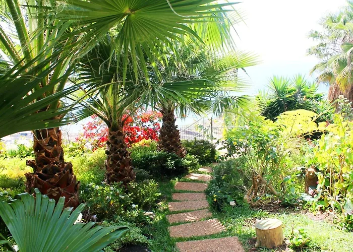 Casa Do Papagaio Affittacamere