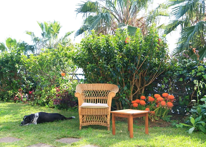 Casa Do Papagaio Funchal (Madeira)