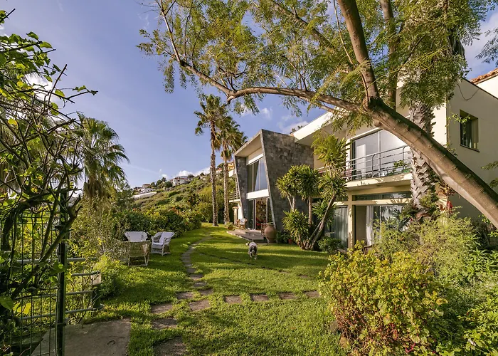 Casa Do Papagaio Affittacamere Funchal (Madeira)