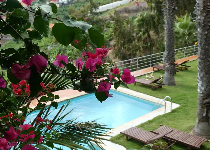 Casa Do Papagaio Affittacamere Funchal (Madeira)