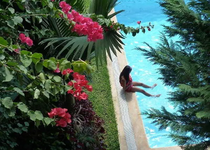 Casa Do Papagaio Funchal (Madeira)