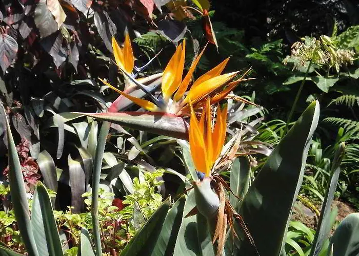 Affittacamere Casa Do Papagaio