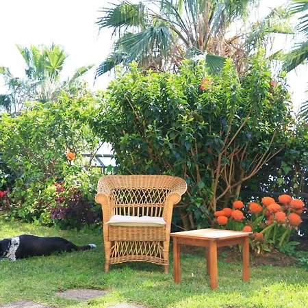 Casa Do Papagaio Gasthuis 3*